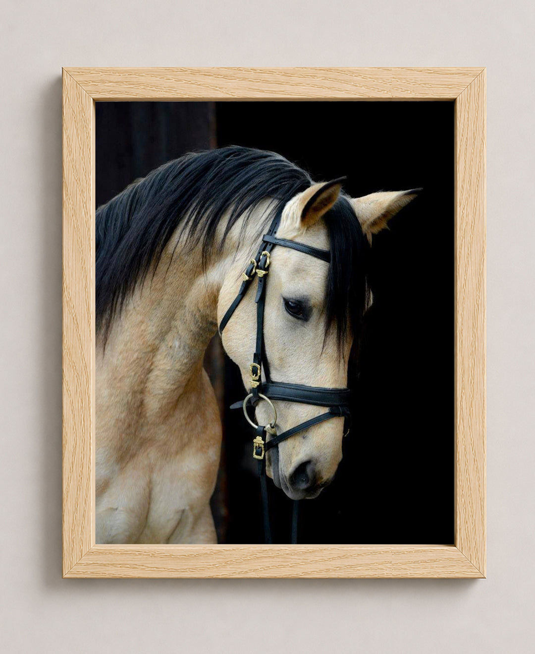 Majestic Cream Horse Portrait Wall Art