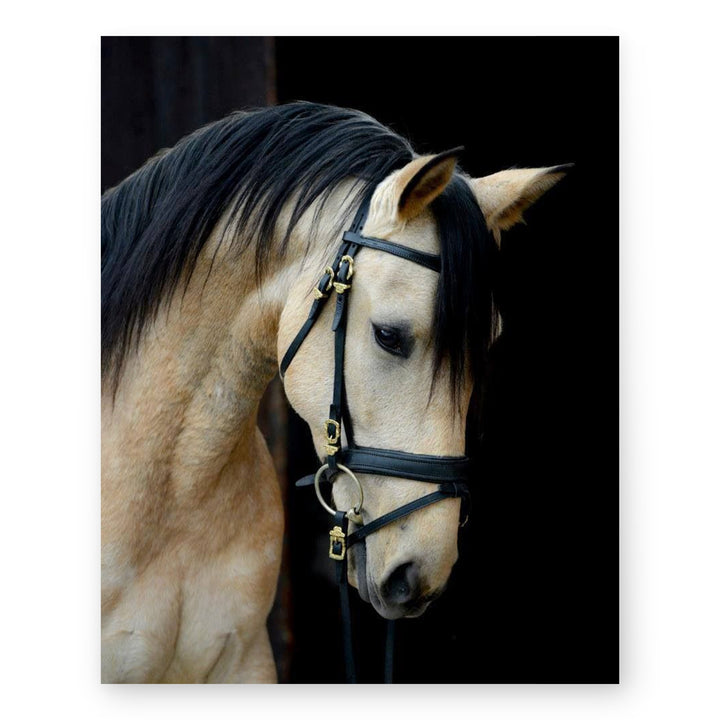 Majestic Cream Horse Portrait Wall Art