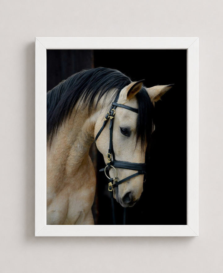 Majestic Cream Horse Portrait Wall Art