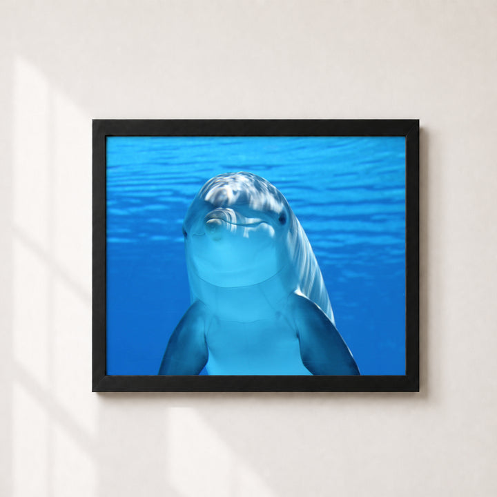 Smiling Dolphin Wall Art Cute Inspirational Wall Art