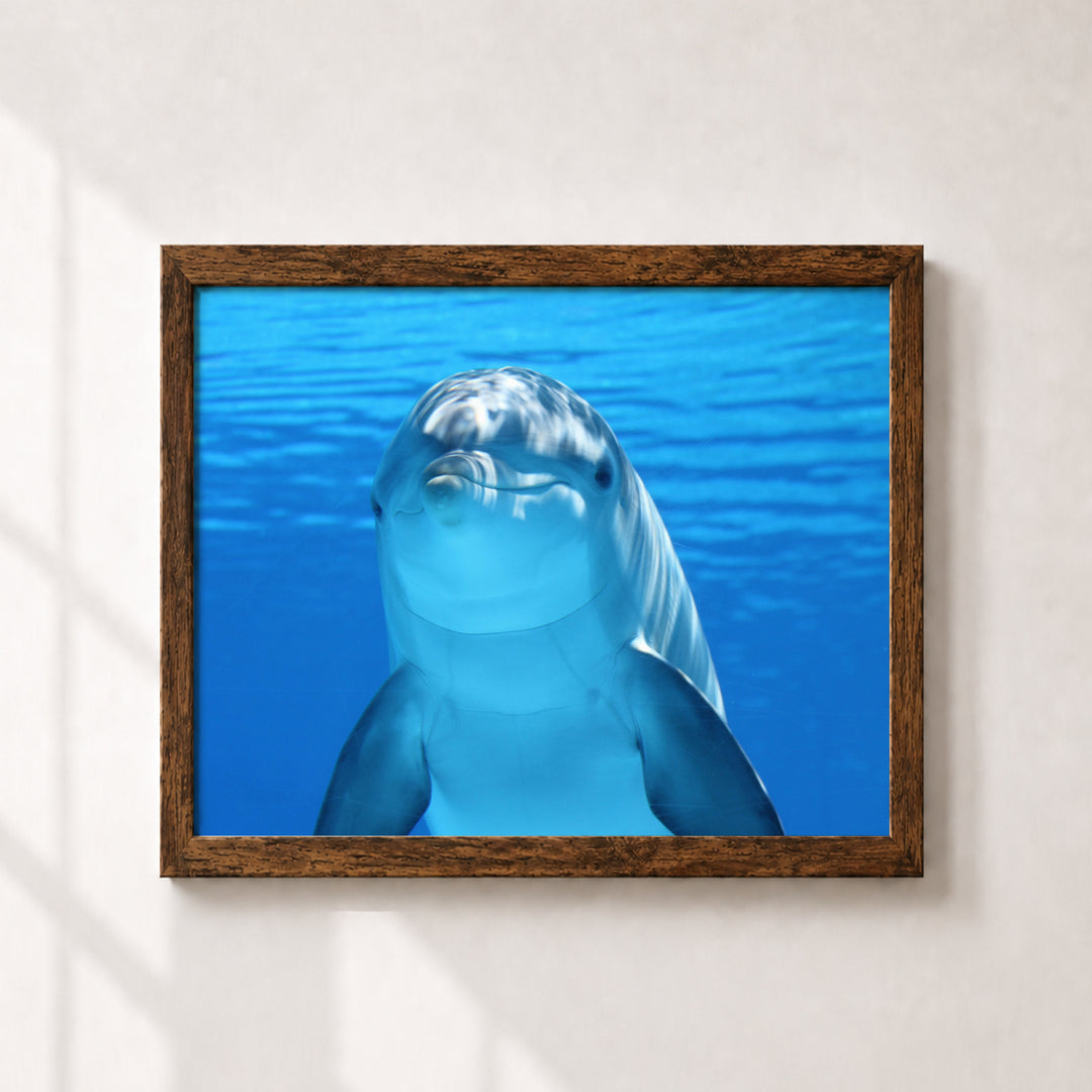 Smiling Dolphin Wall Art Cute Inspirational Wall Art