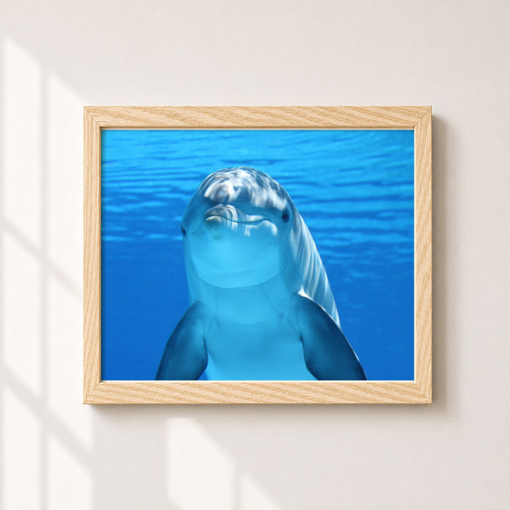 Smiling Dolphin Wall Art Cute Inspirational Wall Art