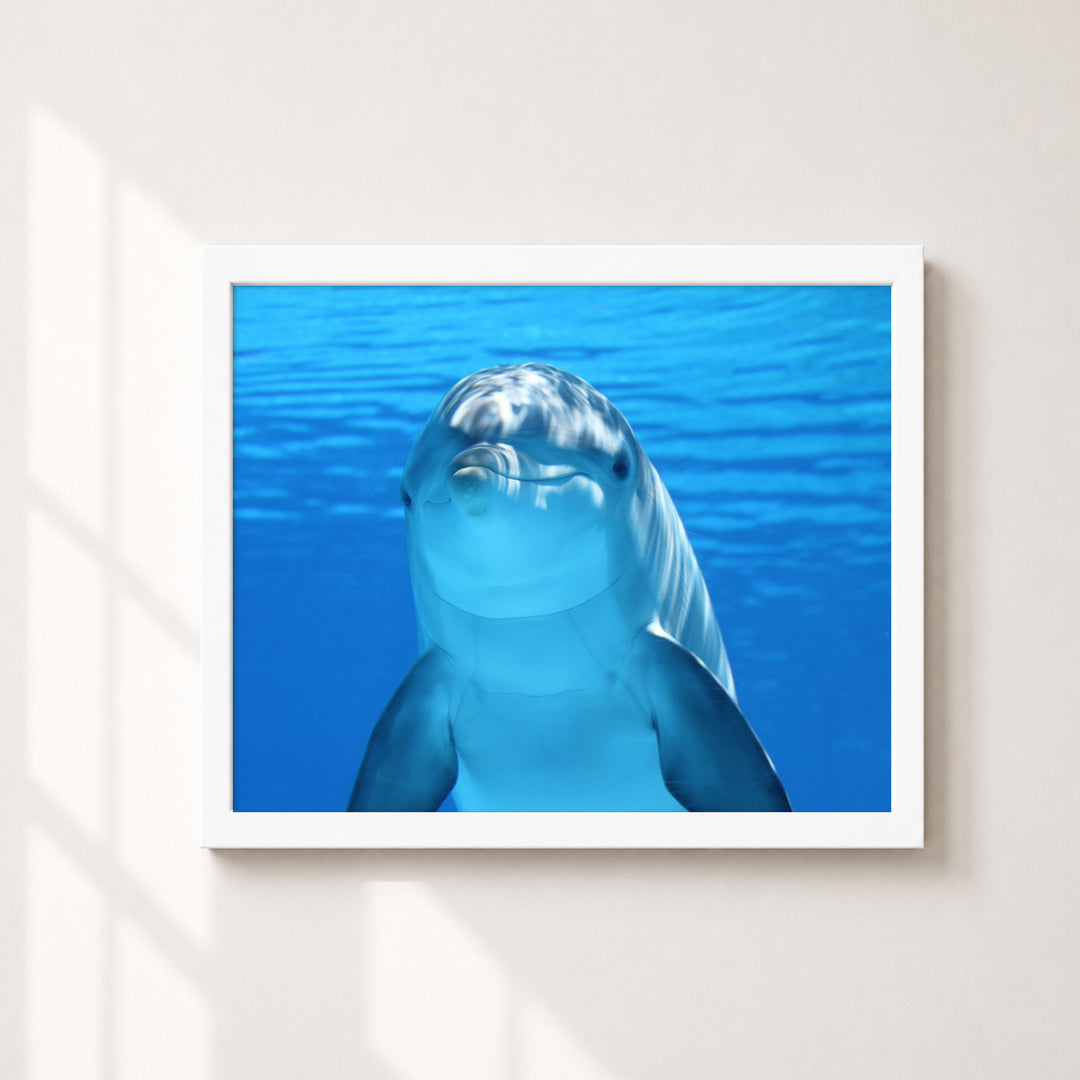 Smiling Dolphin Wall Art Cute Inspirational Wall Art