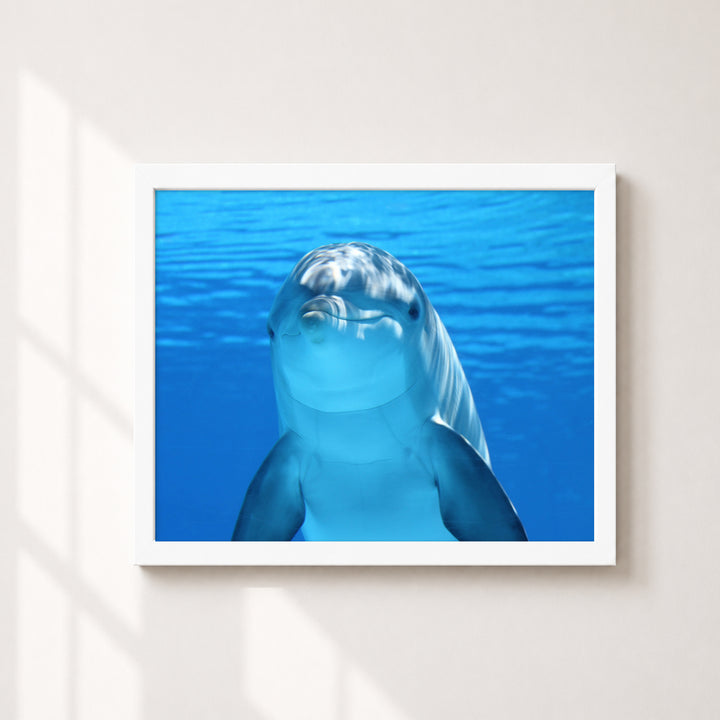 Smiling Dolphin Wall Art Cute Inspirational Wall Art