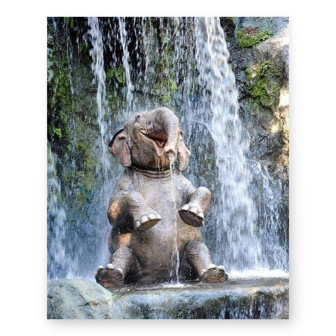 Cute Wildlife Inspirational Wall Art