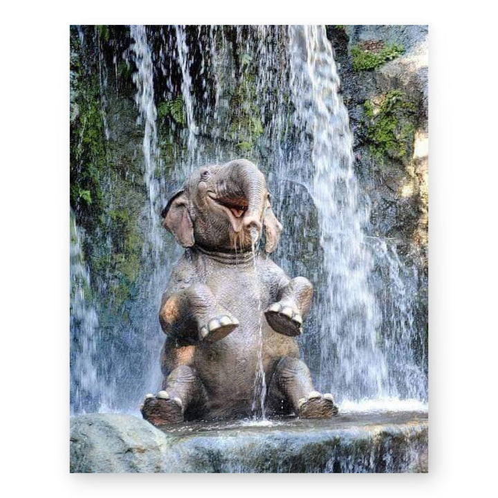 Cute Wildlife Inspirational Wall Art