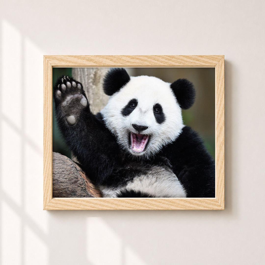 Hap Pand Inspirational Wall Art
