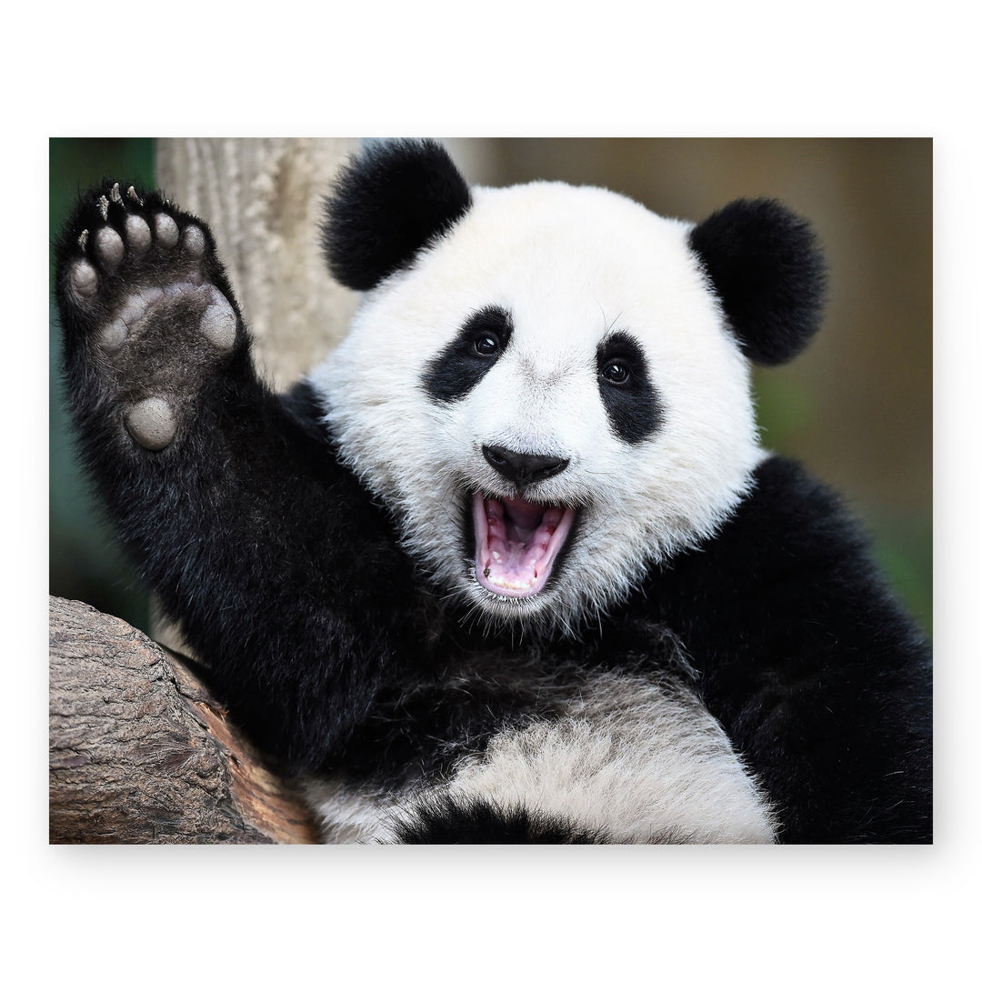 Hap Pand Inspirational Wall Art