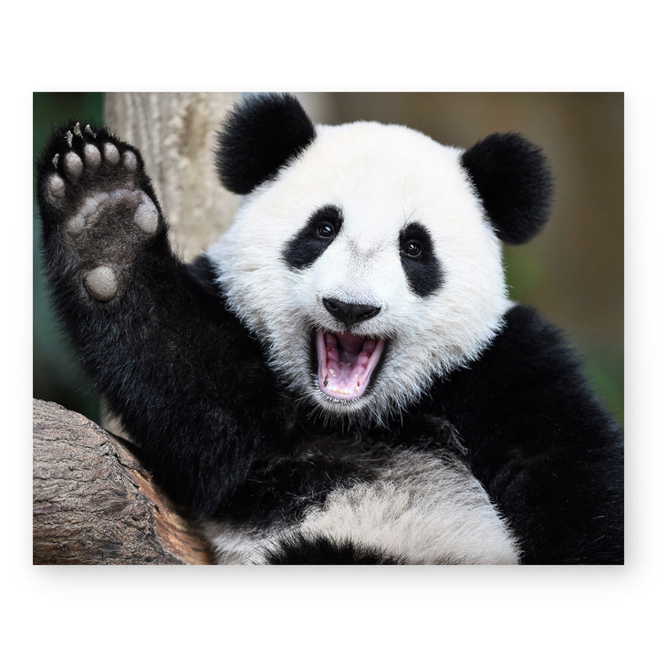 Hap Pand Inspirational Wall Art