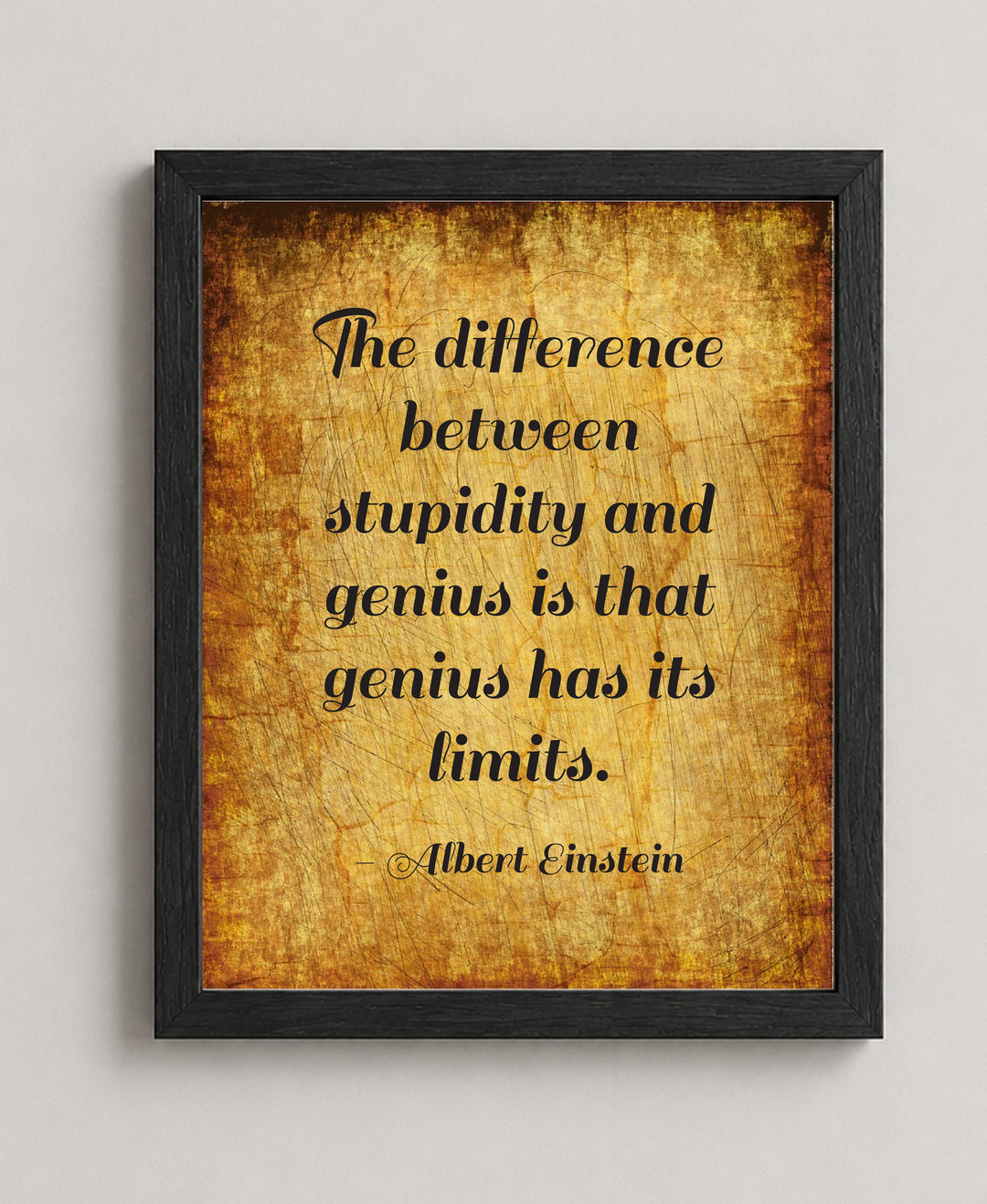 Albert Einstein Stupidity Genius Inspirational Wall Art