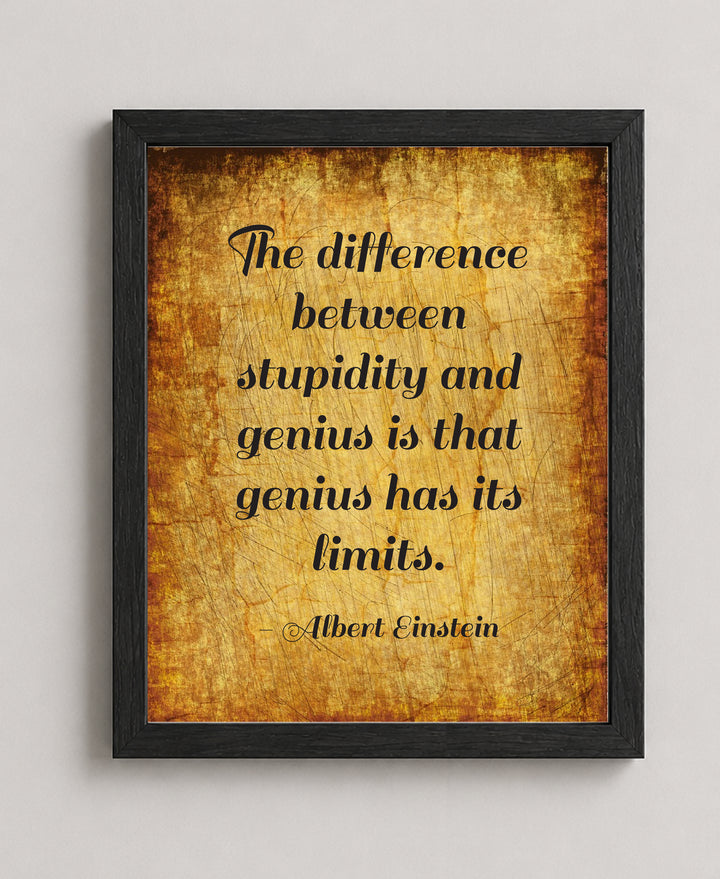 Albert Einstein Stupidity Genius Inspirational Wall Art