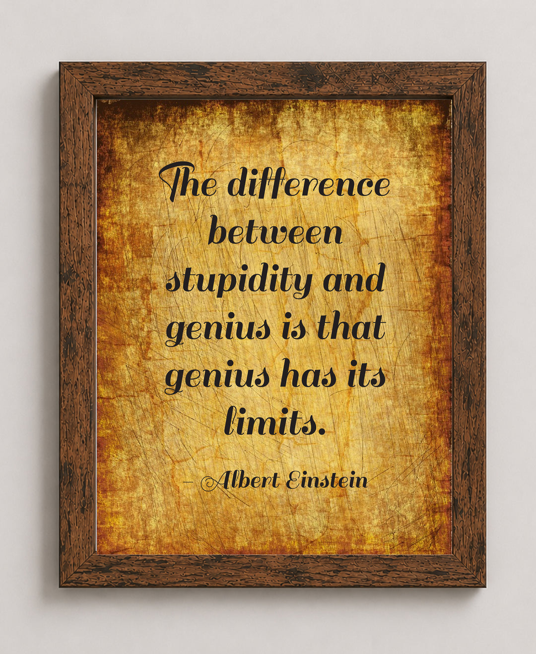 Albert Einstein Stupidity Genius Inspirational Wall Art