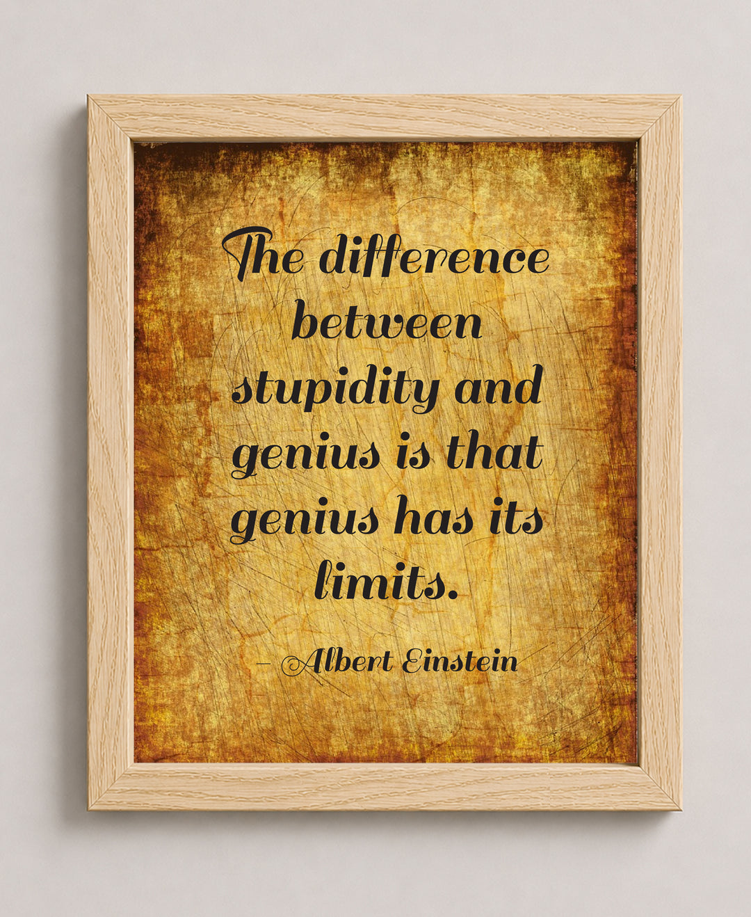 Albert Einstein Stupidity Genius Inspirational Wall Art