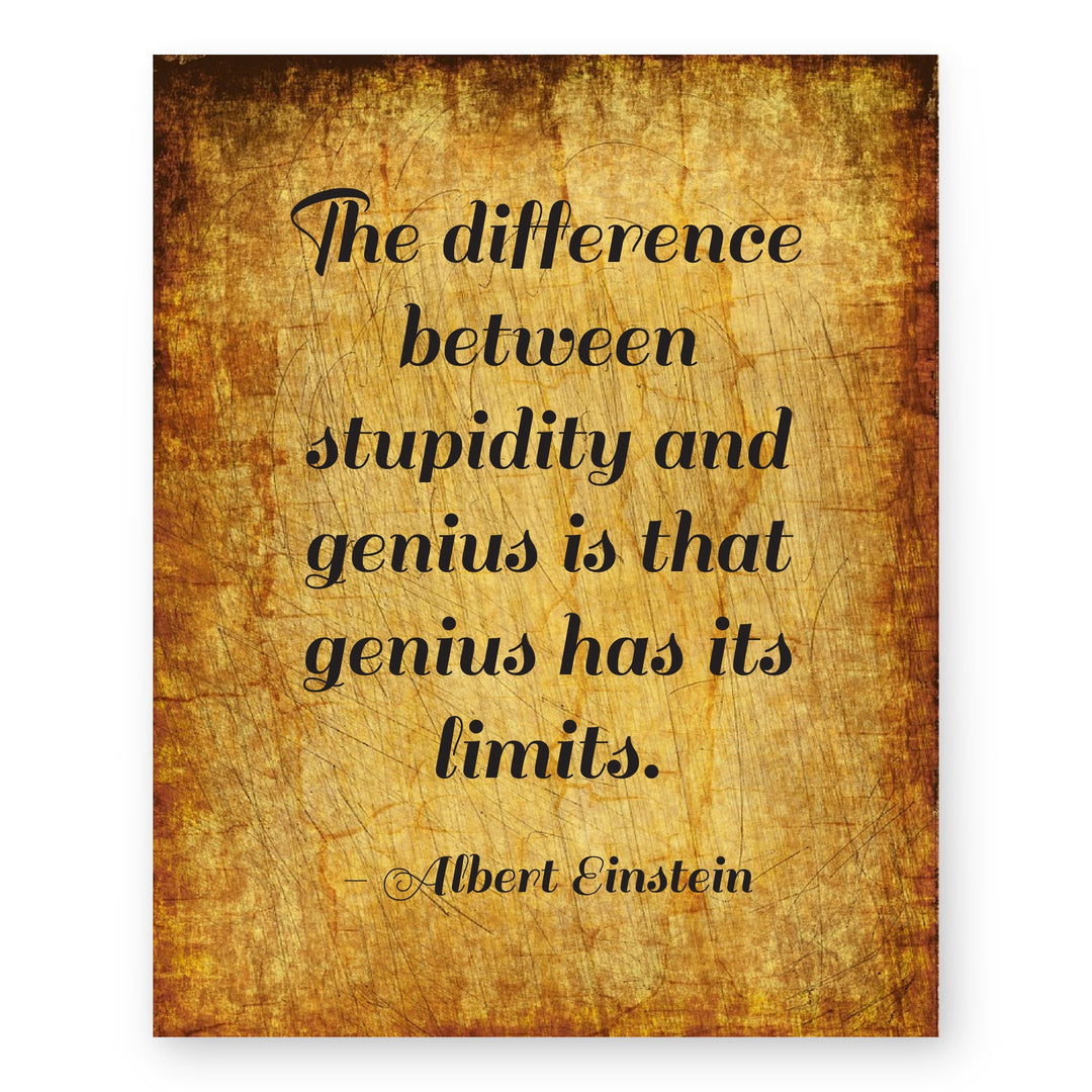 Albert Einstein Stupidity Genius Inspirational Wall Art