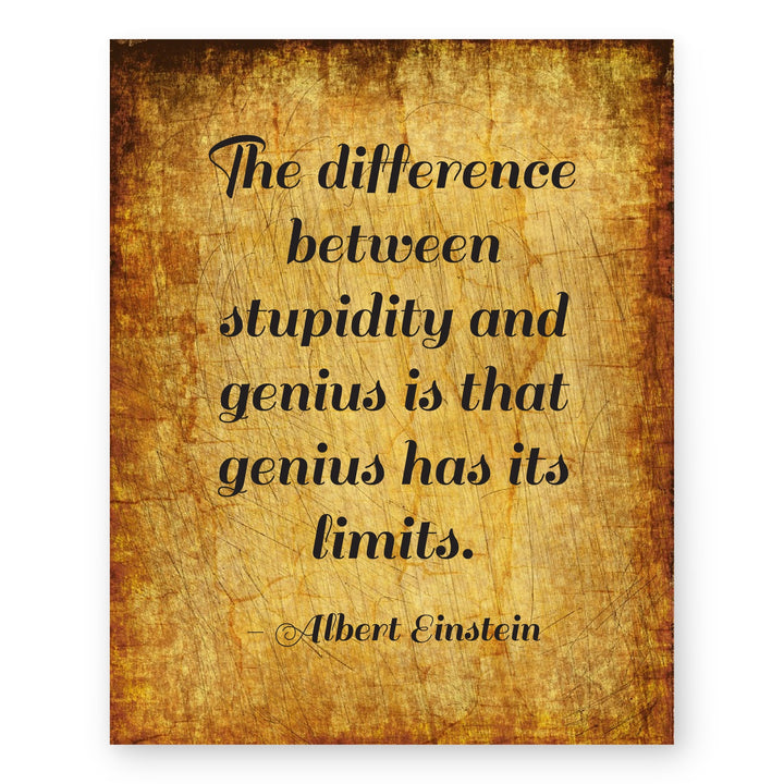 Albert Einstein Stupidity Genius Inspirational Wall Art