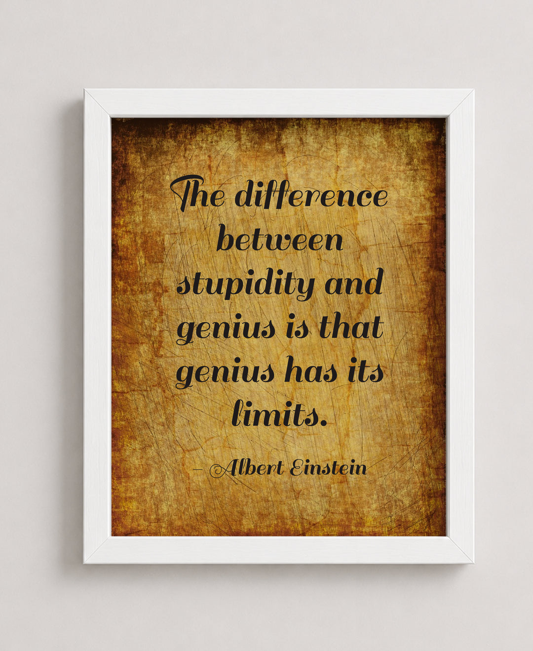 Albert Einstein Stupidity Genius Inspirational Wall Art