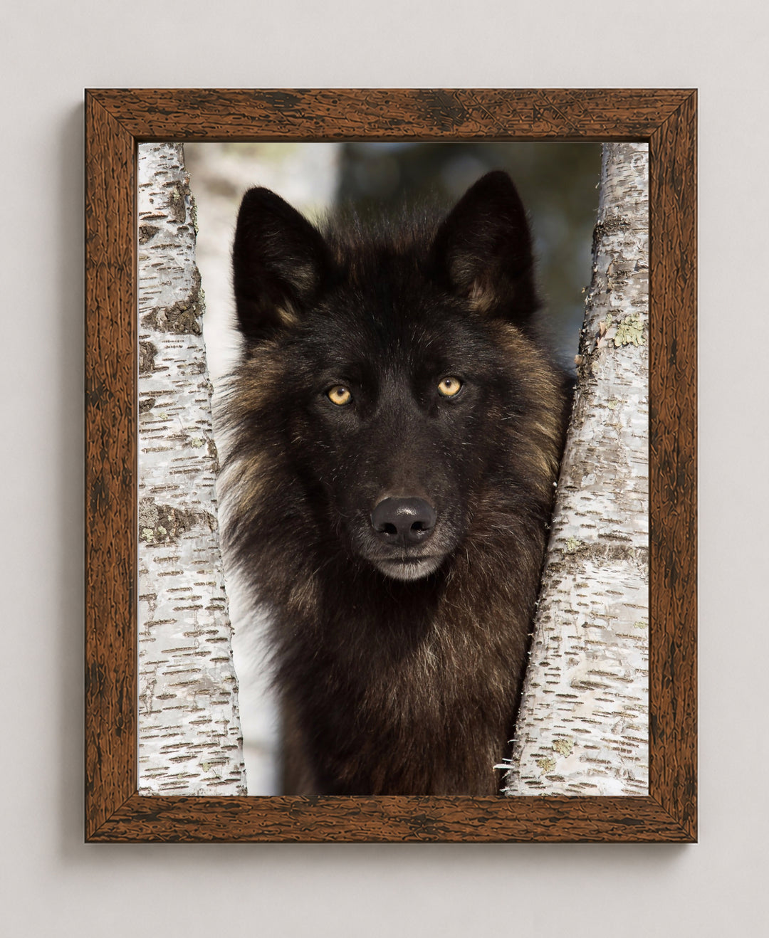 Wolf in the Woods Family Inspirational Wall Art