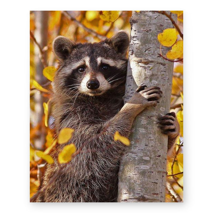 Cur Rac Inspirational Wall Art