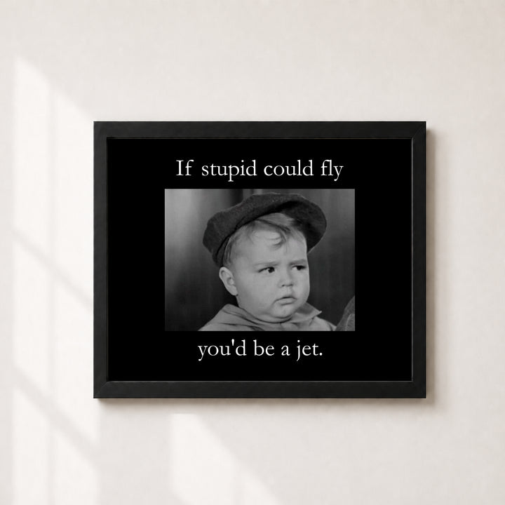 If Stupid Could Fly Sarcastic Inspirational Wall Art
