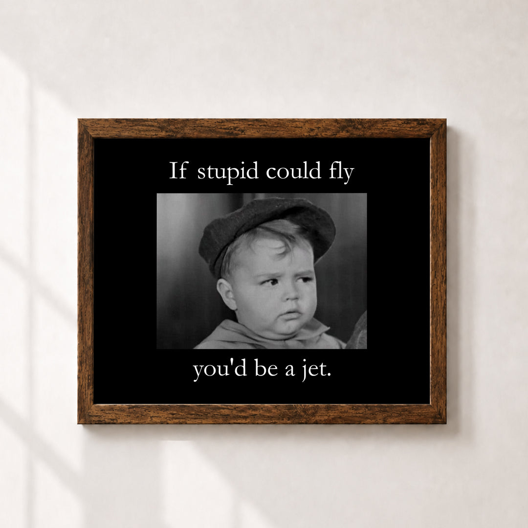 If Stupid Could Fly Sarcastic Inspirational Wall Art