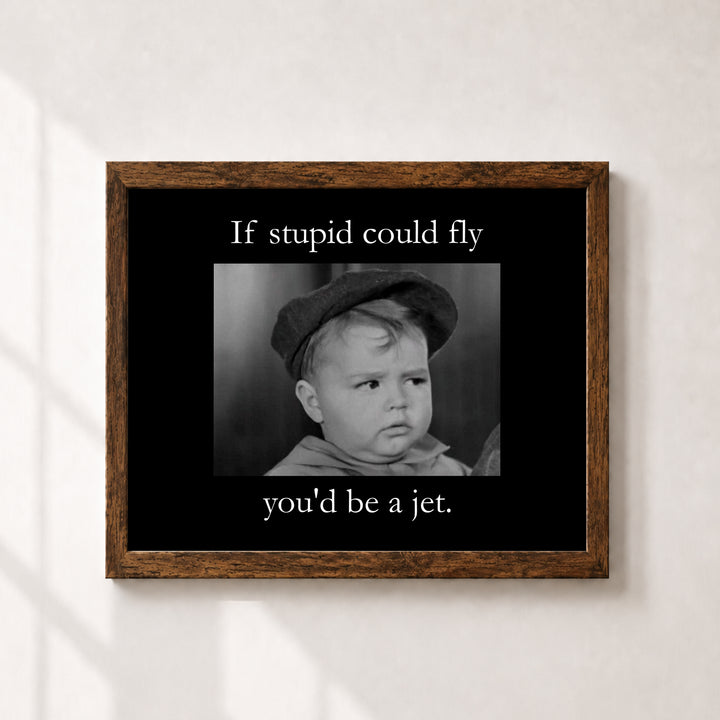 If Stupid Could Fly Sarcastic Inspirational Wall Art