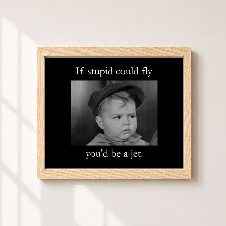 If Stupid Could Fly Sarcastic Inspirational Wall Art