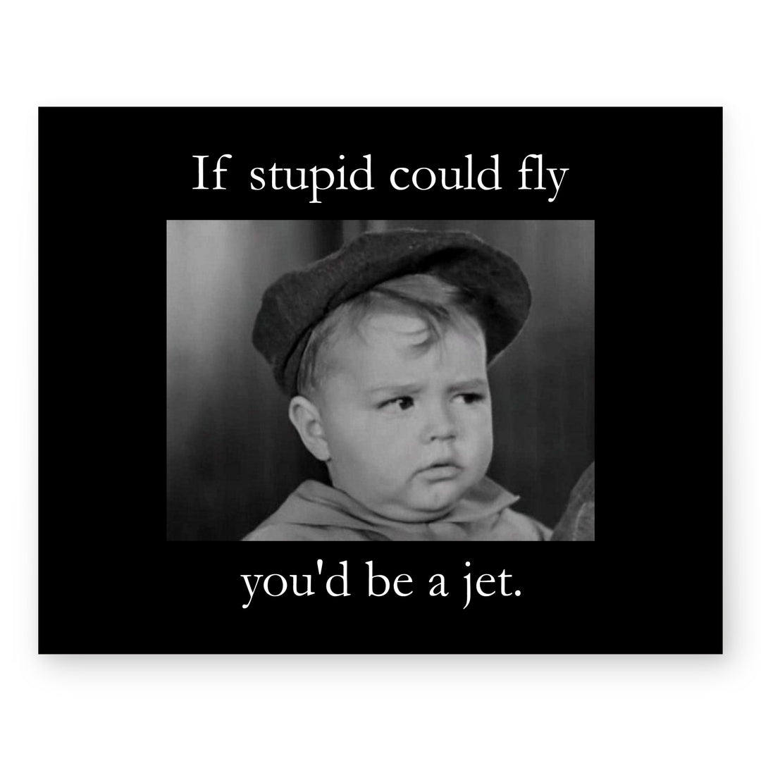 If Stupid Could Fly Sarcastic Inspirational Wall Art