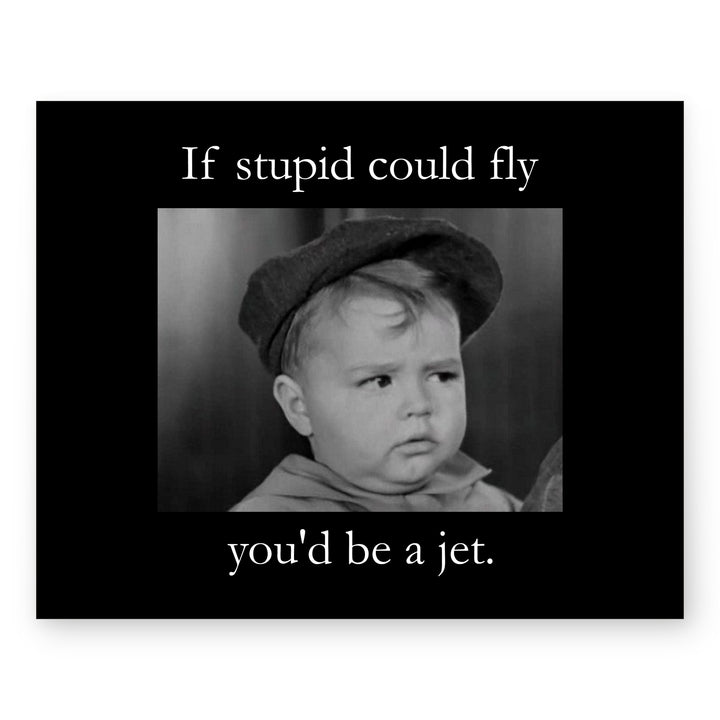If Stupid Could Fly Sarcastic Inspirational Wall Art
