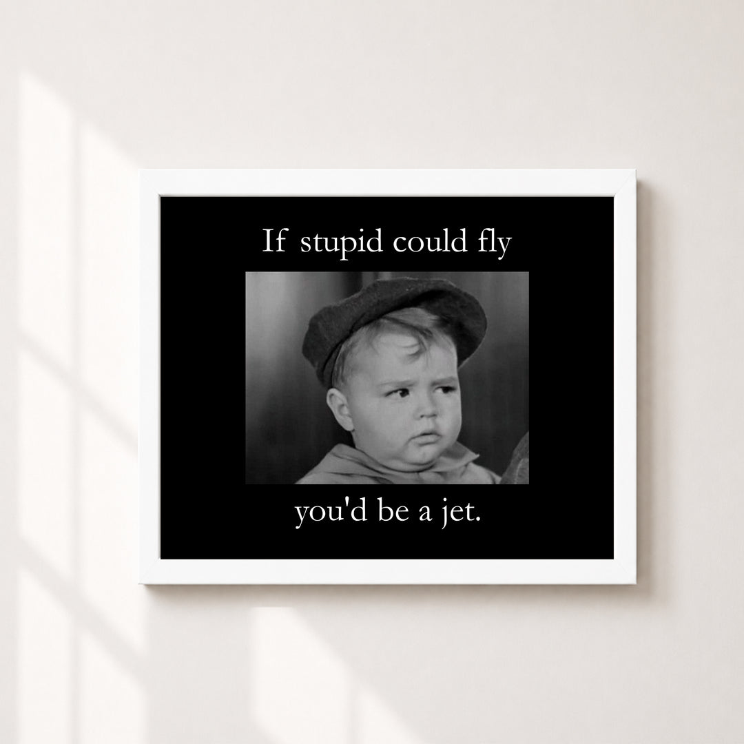 If Stupid Could Fly Sarcastic Inspirational Wall Art