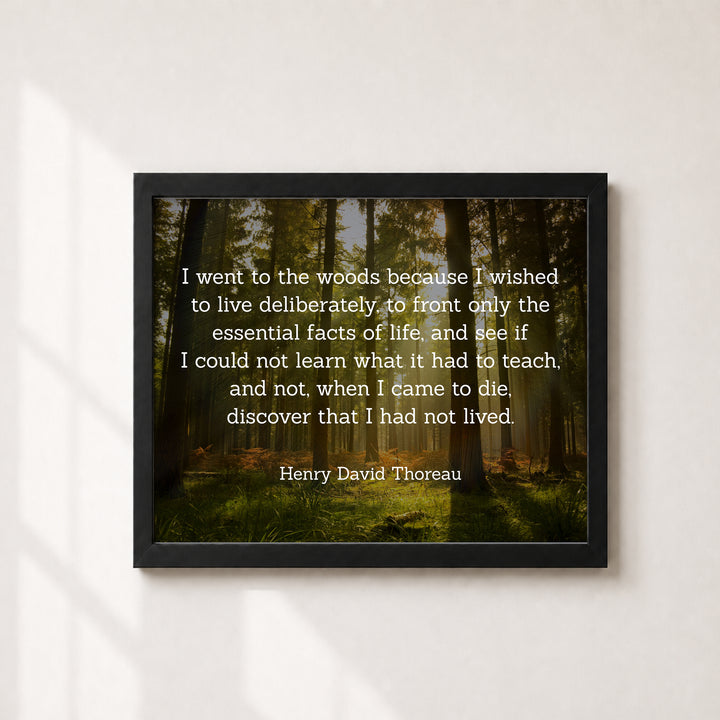 Thoreau I Went to the Woods Inspirational Wall Art
