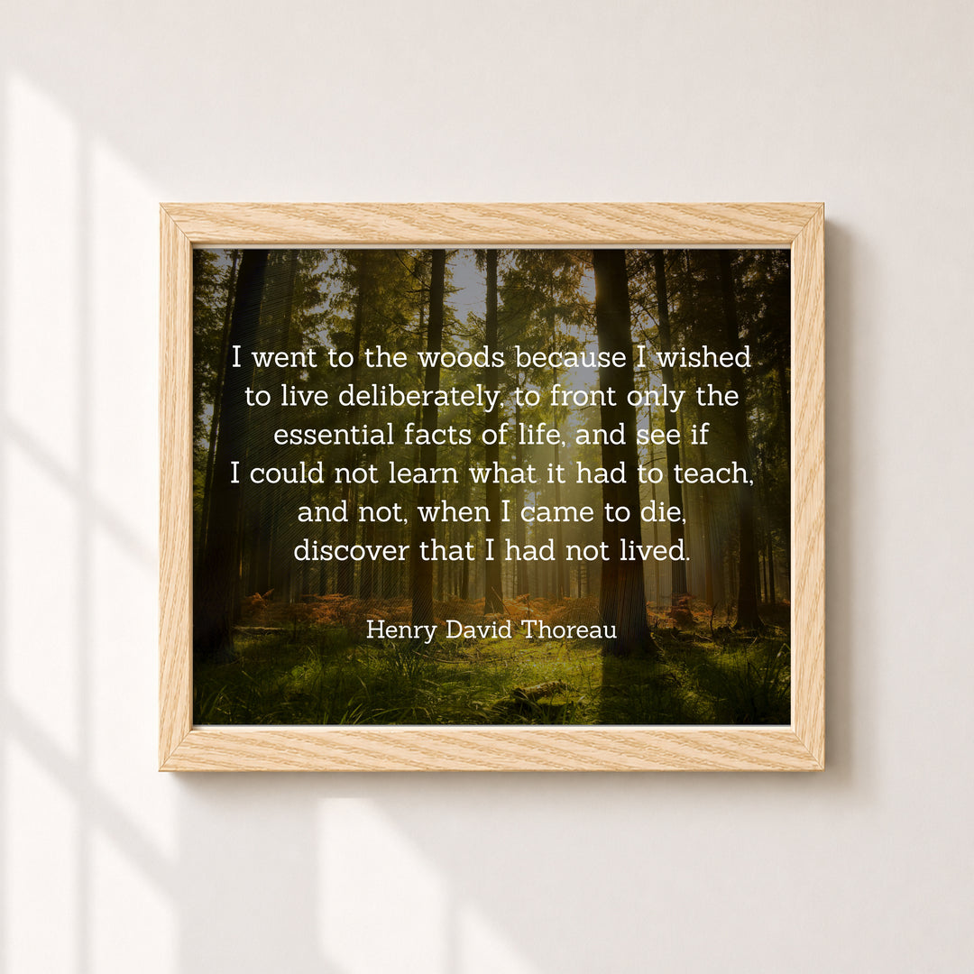 Thoreau I Went to the Woods Inspirational Wall Art