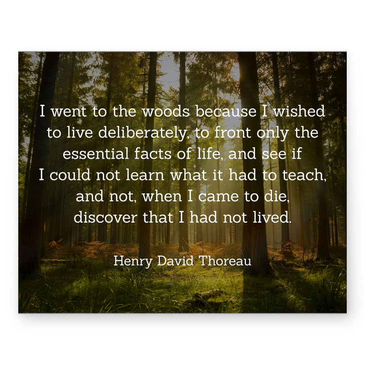 Thoreau I Went to the Woods Inspirational Wall Art