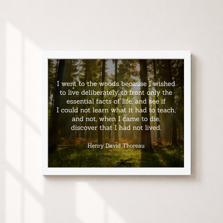 Thoreau I Went to the Woods Inspirational Wall Art