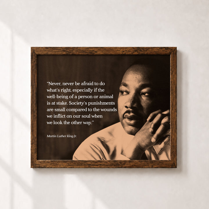 Never Be Afraid Inspirational MLK Jr Wall Art