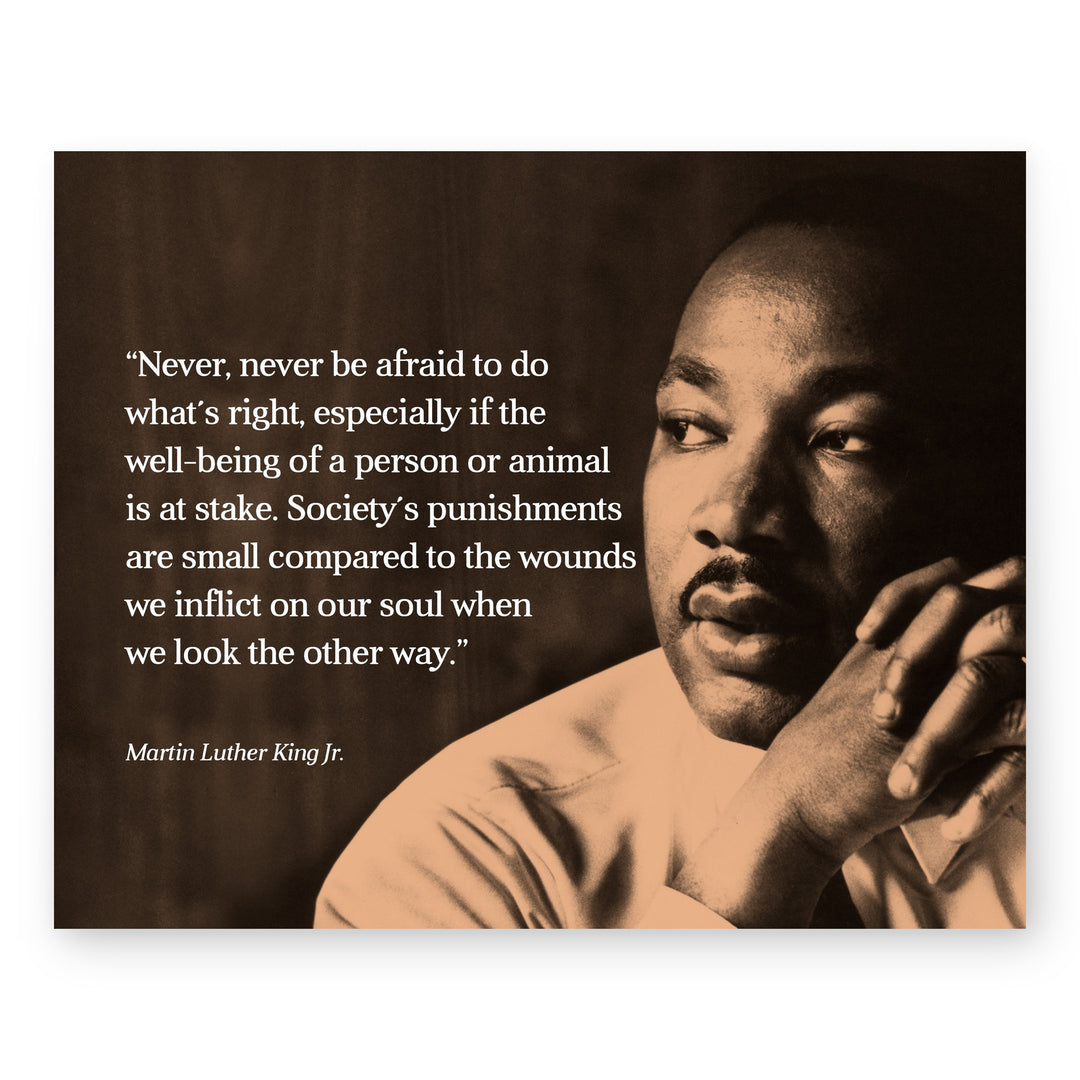 Never Be Afraid Inspirational MLK Jr Wall Art