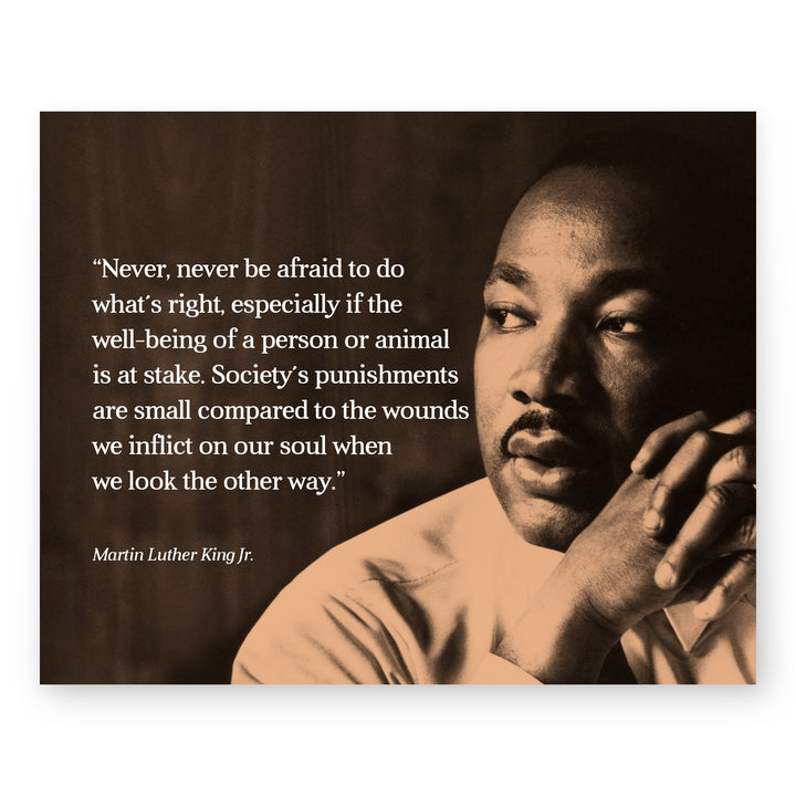 Never Be Afraid Inspirational MLK Jr Wall Art