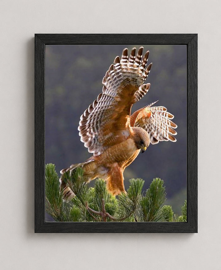 &amp; School Wall Decoration Picture for Animals &amp; Inspirational Wall Art