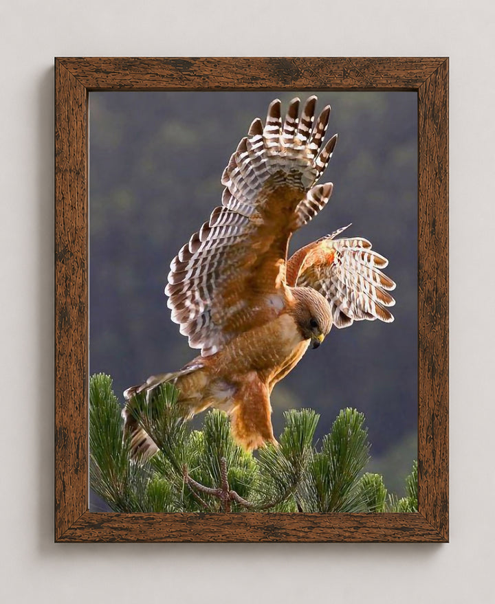 &amp; School Wall Decoration Picture for Animals &amp; Inspirational Wall Art