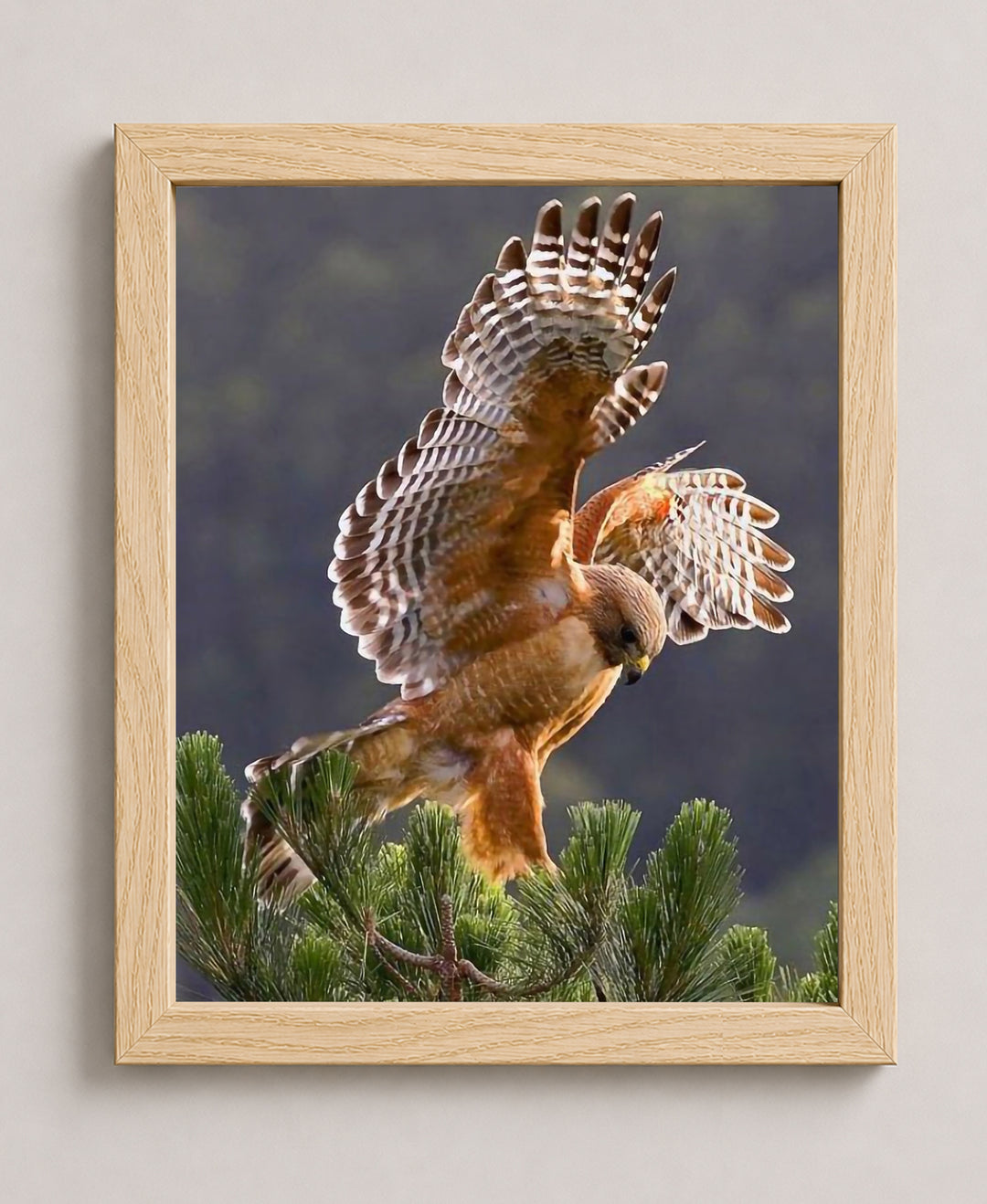&amp; School Wall Decoration Picture for Animals &amp; Inspirational Wall Art