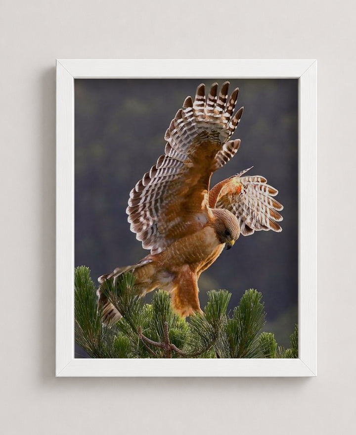 &amp; School Wall Decoration Picture for Animals &amp; Inspirational Wall Art