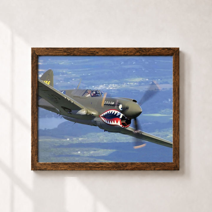 P-40 Warhawk Vintage Military Aircraft Wall Art