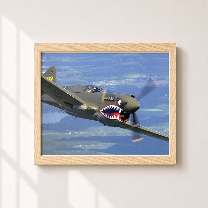 P-40 Warhawk Vintage Military Aircraft Wall Art