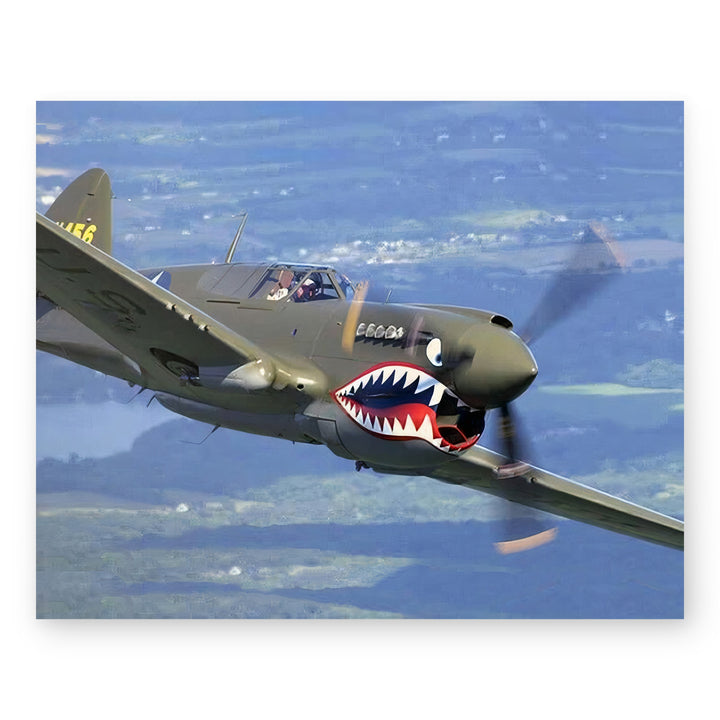 P-40 Warhawk Vintage Military Aircraft Wall Art
