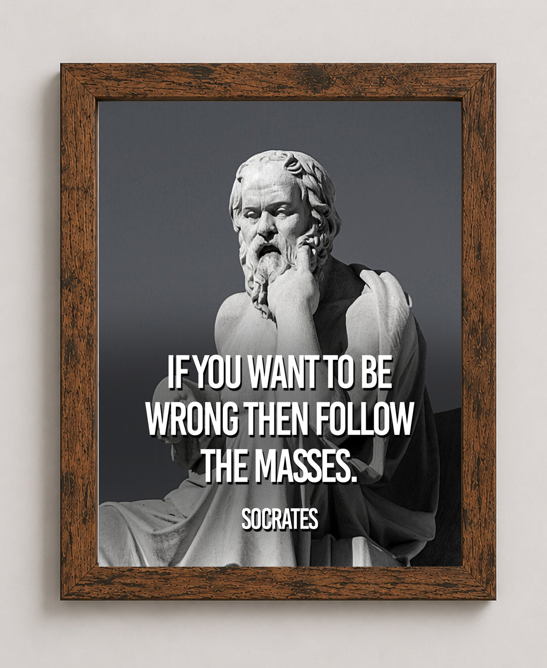 Socrates Want To Be Wrong Follow Masses Inspirational Wall Art