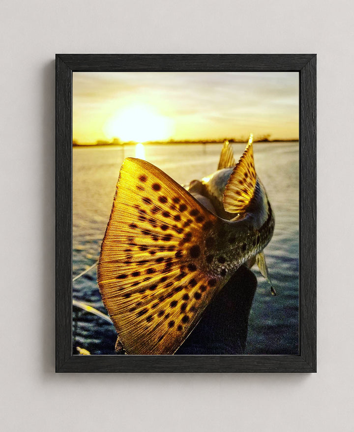 Speckled Sea Trout 18 Sunset Ocean Inspirational Wall Art
