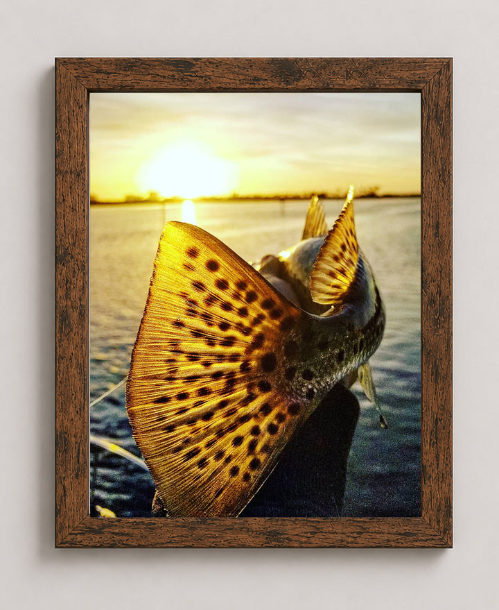 Speckled Sea Trout 18 Sunset Ocean Inspirational Wall Art