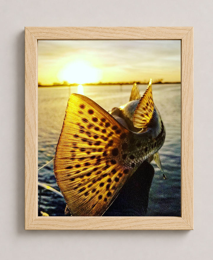 Speckled Sea Trout 18 Sunset Ocean Inspirational Wall Art