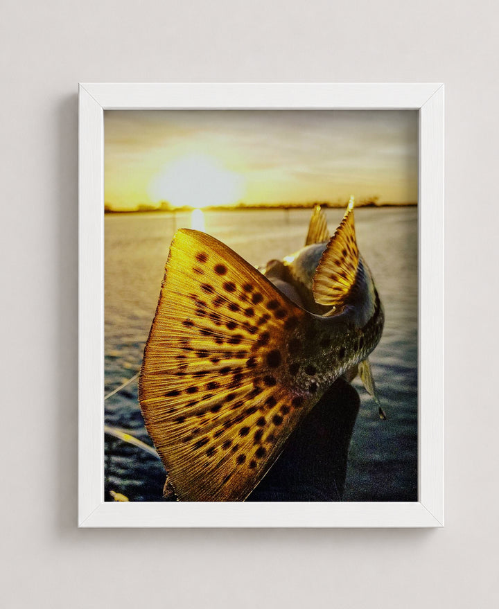 Speckled Sea Trout 18 Sunset Ocean Inspirational Wall Art