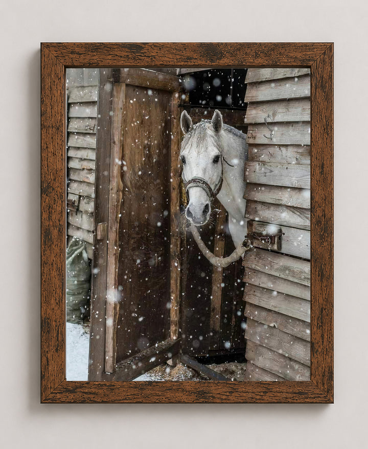 Horse Peeking Out at the Snow Wall Art