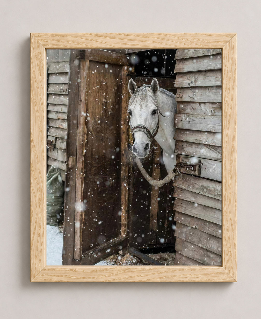 Horse Peeking Out at the Snow Wall Art